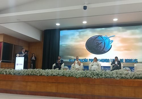 DFW 3